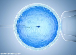 生殖医学科